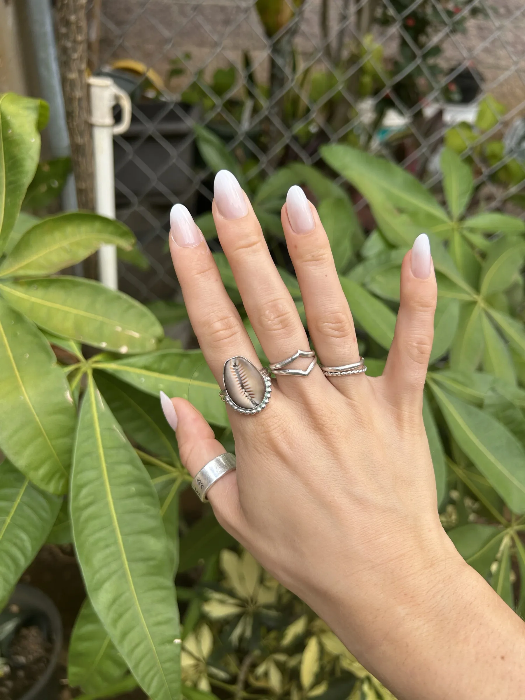 Cowrie Ring
