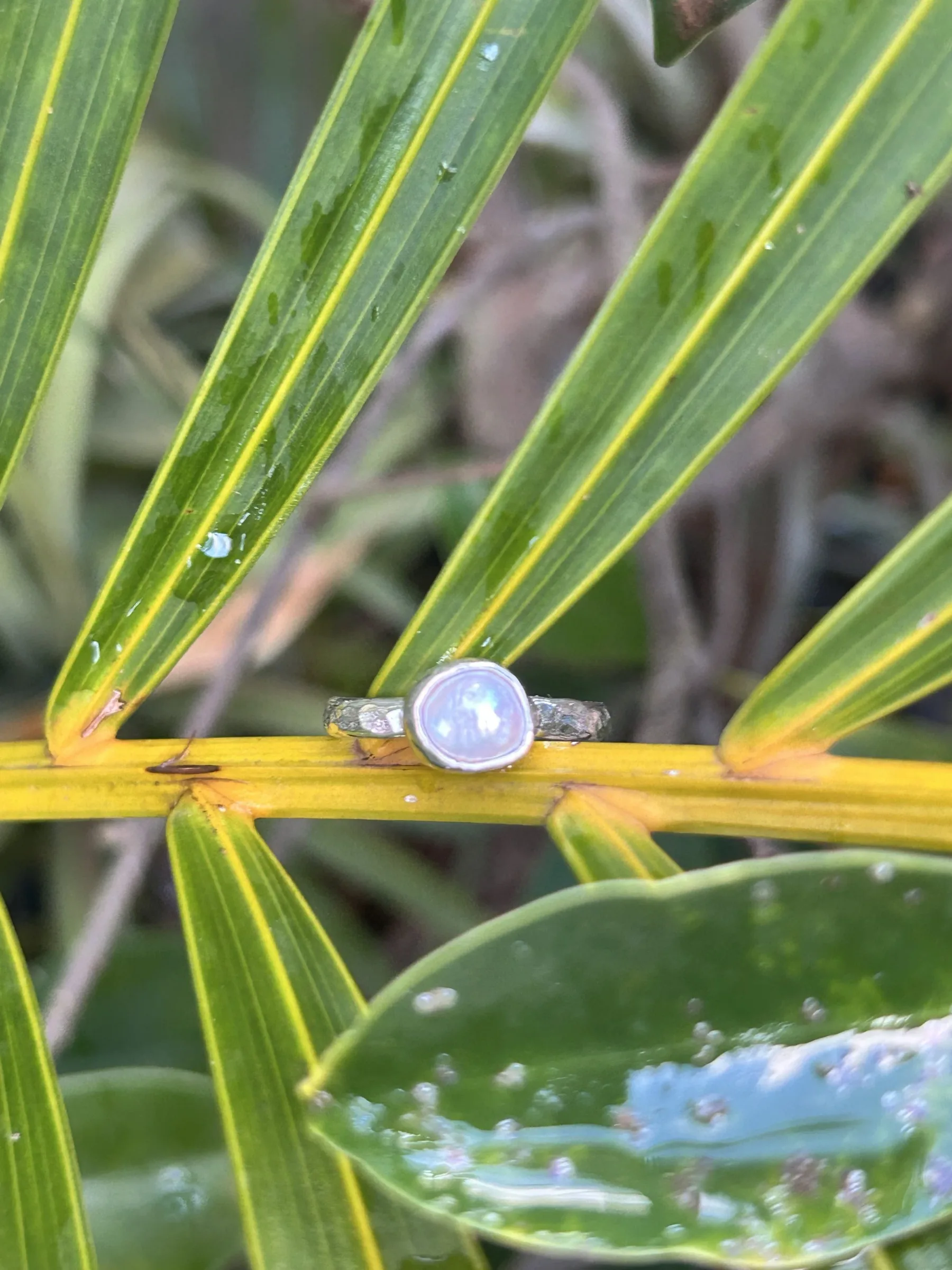 Little glimmer ring