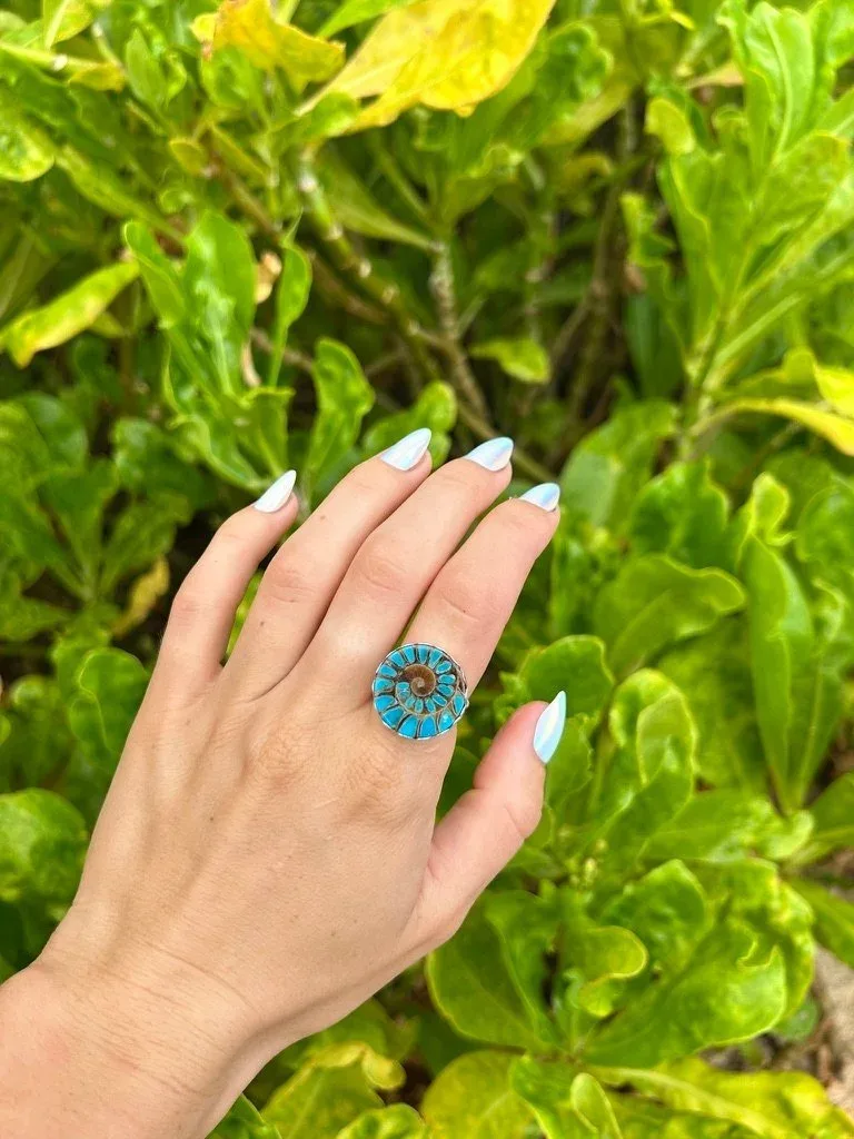 Wild Water Ring of Symmetry