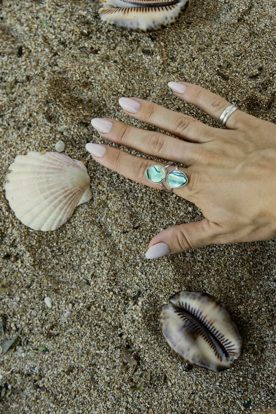 Double Abalone